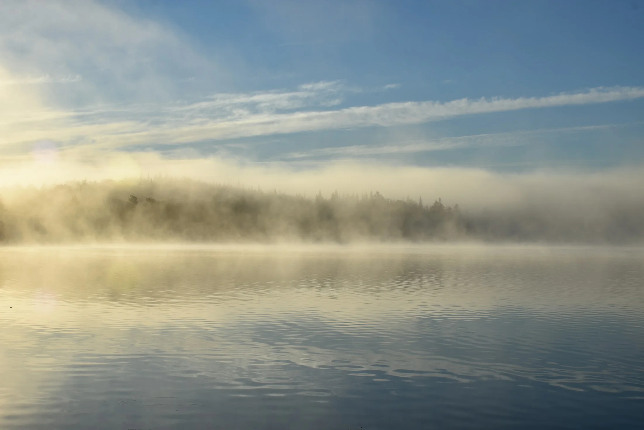 Morning fog drifting over calm water and a tree-lined shore.